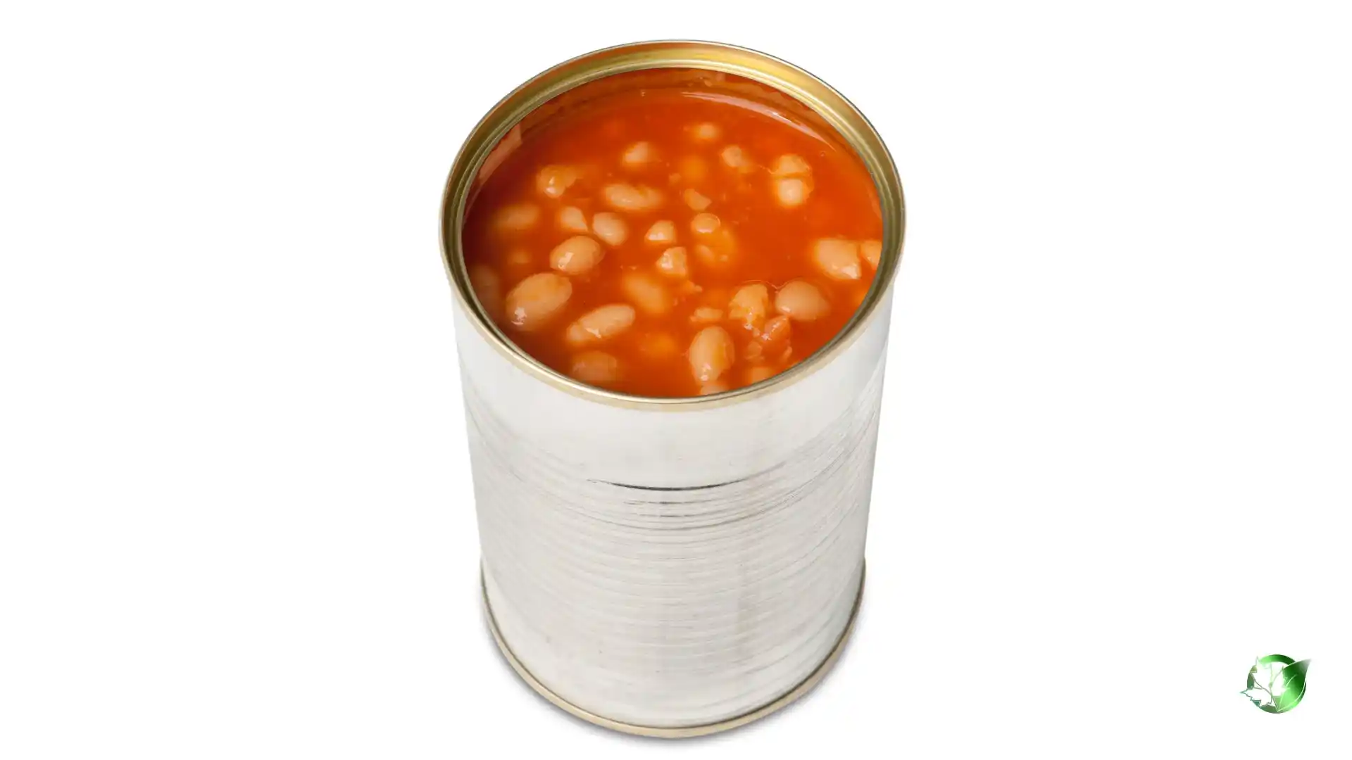 Bulk Canned Pinto Beans | Suppliers | Wholesale | ParsaFood Global